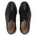 FootJoy 2026 Premiere Series Packard Golf Shoes in black, view of pair from above